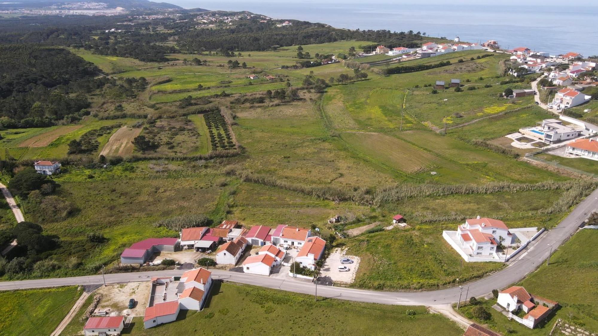Casas Com Amoras In Serra Da Pescaria Famalicão Extérieur photo